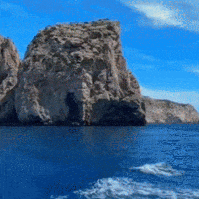 Escursione completa Formentera